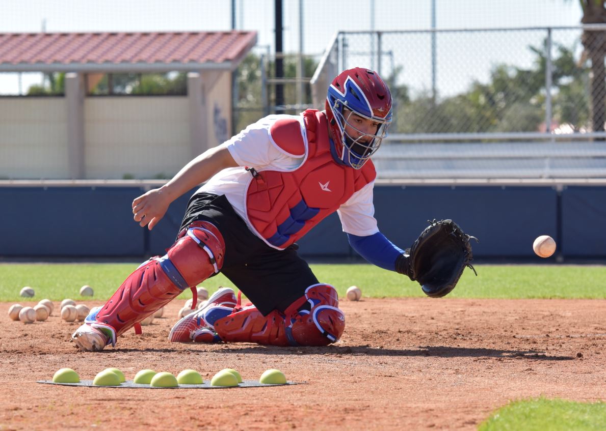 Fielder's Dome Mat